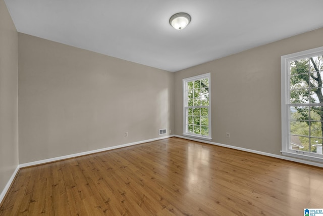 empty room featuring light hardwood / wood-style flooring and a wealth of natural light