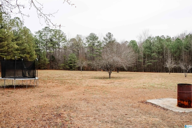 view of yard with a trampoline