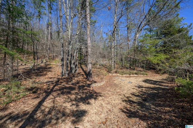 view of local wilderness