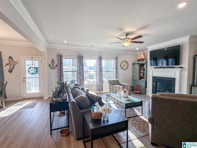 living room featuring ornamental molding, ceiling fan, and light wood-type flooring