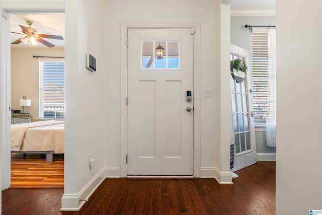 entrance foyer with dark hardwood / wood-style flooring, crown molding, and ceiling fan