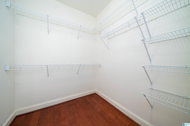 spacious closet with wood-type flooring