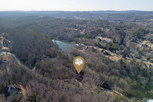 drone / aerial view with a water and mountain view