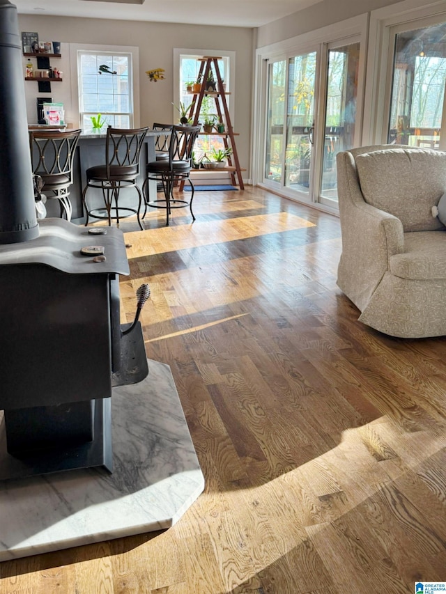 living room featuring hardwood / wood-style flooring and a wood stove