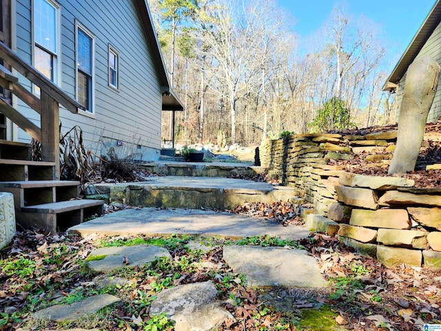 view of yard featuring a patio