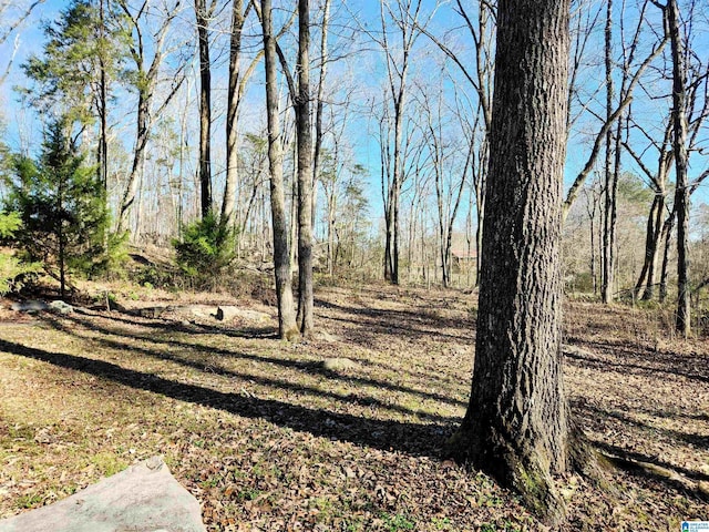 view of local wilderness