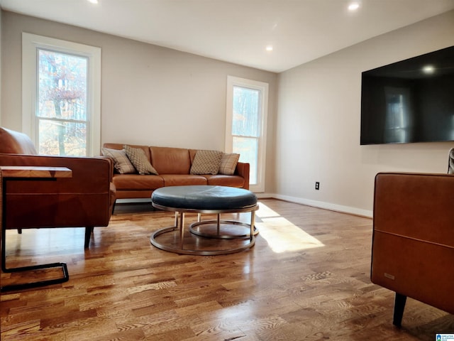 living room with hardwood / wood-style floors