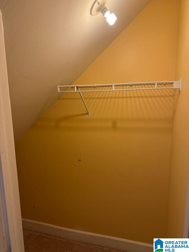 spacious closet with vaulted ceiling