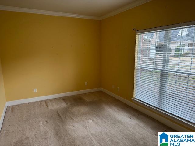 unfurnished room featuring ornamental molding and light carpet