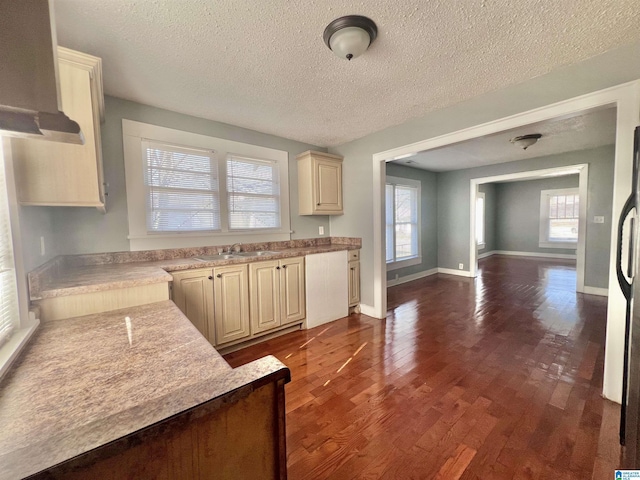 kitchen with sink, dark hardwood / wood-style floors, cream cabinets, and a wealth of natural light