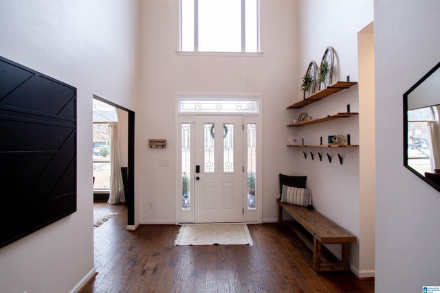 foyer featuring dark hardwood / wood-style floors and a high ceiling