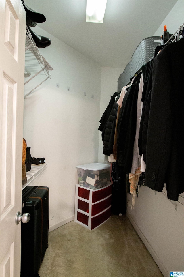 walk in closet with light colored carpet