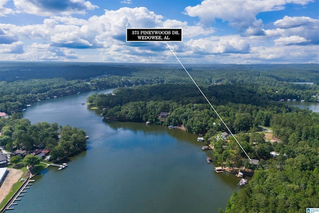 373 Pineywoods Dr, Wedowee, AL 36278 - bird's eye view featuring a water view
