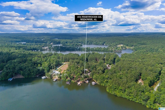 373 Pineywoods Dr, Wedowee, AL 36278 - drone / aerial view featuring a water view