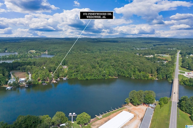 373 Pineywoods Dr, Wedowee, AL 36278 - birds eye view of property with a water view