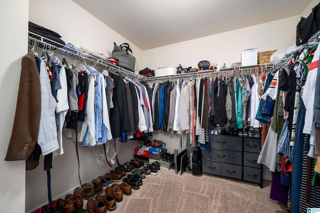 walk in closet with carpet flooring