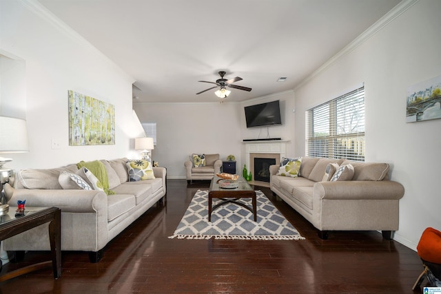 living room with ornamental molding, dark hardwood / wood-style floors, and ceiling fan