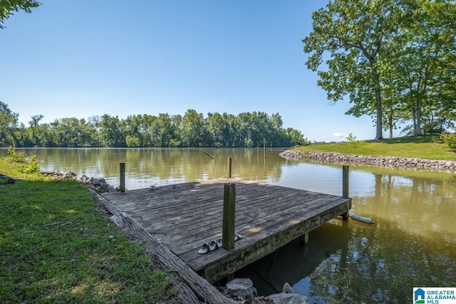 view of dock with a water view