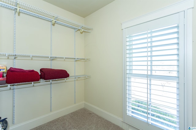 spacious closet with carpet floors