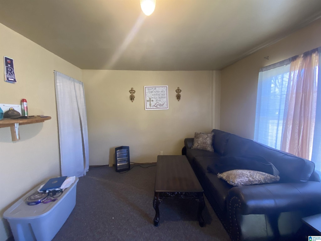 living room with carpet flooring