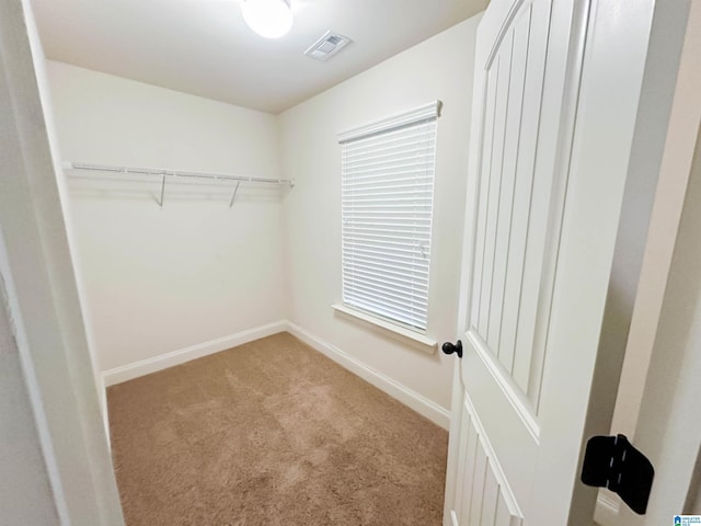 spacious closet featuring light colored carpet