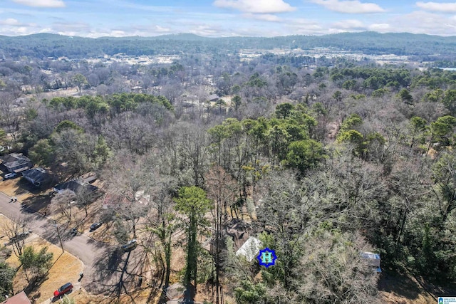 bird's eye view featuring a mountain view