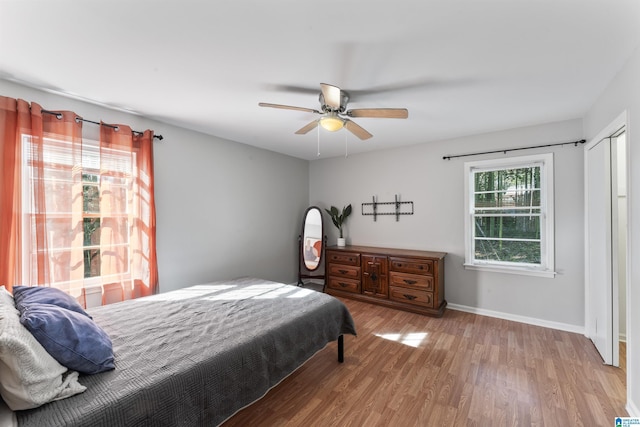 bedroom featuring wood-type flooring and ceiling fan