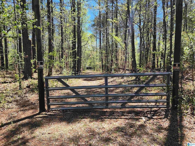 view of gate