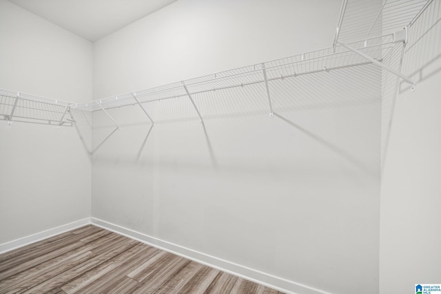 walk in closet featuring hardwood / wood-style floors