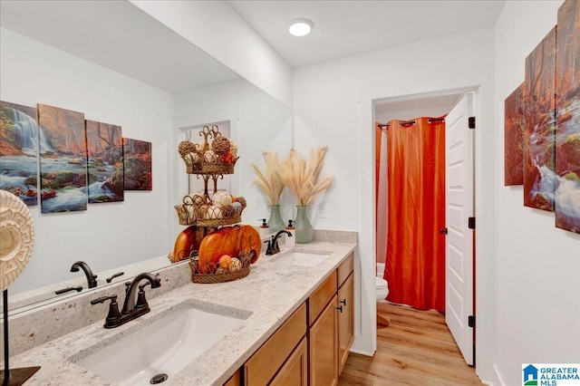 bathroom featuring vanity, hardwood / wood-style floors, and toilet