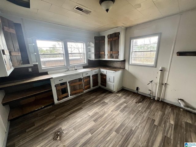 kitchen with plenty of natural light and dark hardwood / wood-style floors