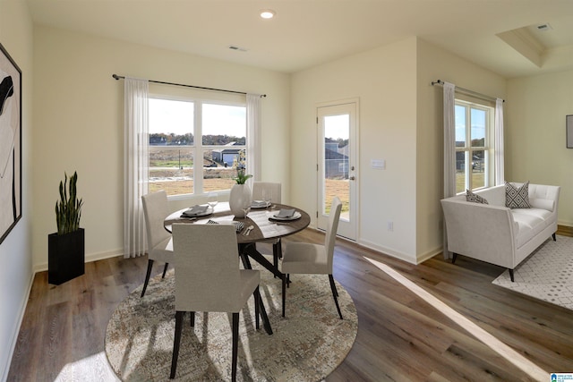 dining space with hardwood / wood-style floors