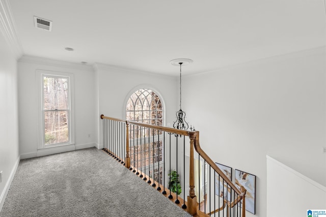 hall with ornamental molding and carpet floors