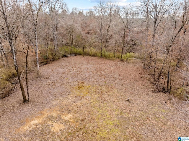 view of local wilderness