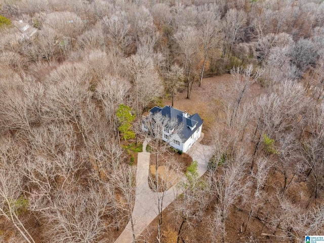 bird's eye view