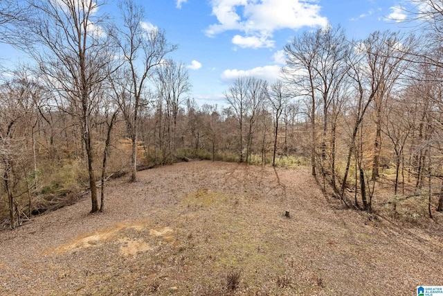 view of local wilderness