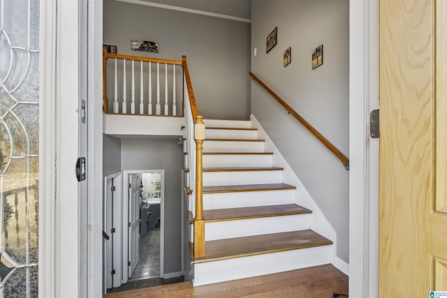 staircase featuring wood-type flooring