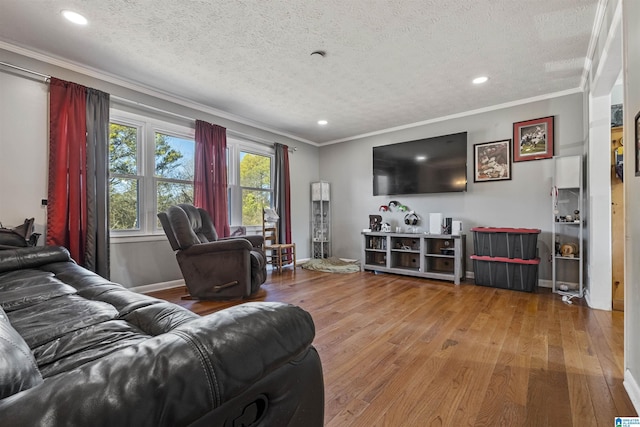 living room featuring hardwood / wood-style flooring, crown molding, and a textured ceiling