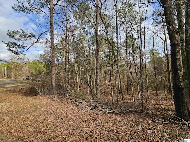 view of local wilderness