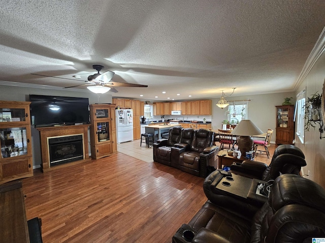 living room with ceiling fan, ornamental molding, light hardwood / wood-style flooring, and a textured ceiling