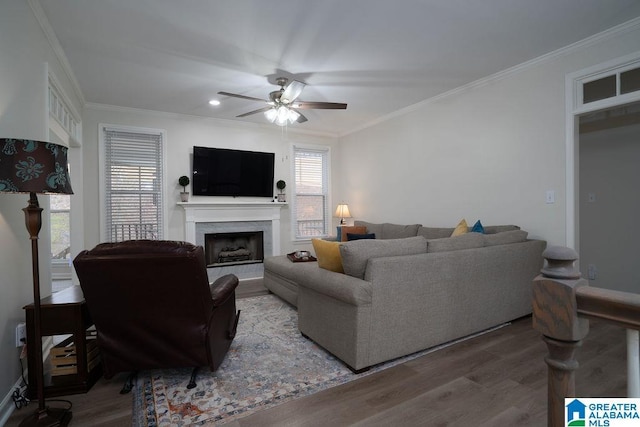 living room featuring hardwood / wood-style flooring, ornamental molding, a premium fireplace, and ceiling fan