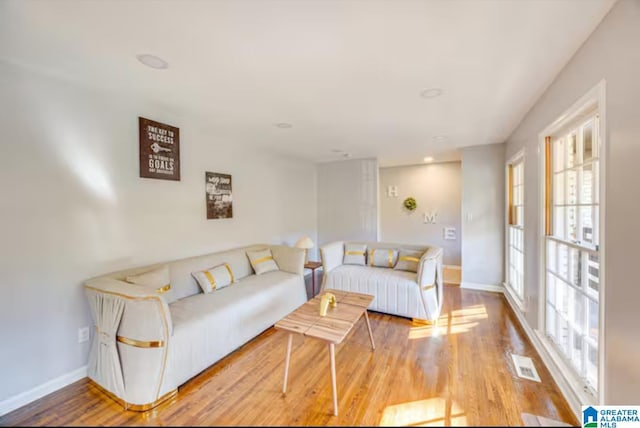 living room featuring hardwood / wood-style floors