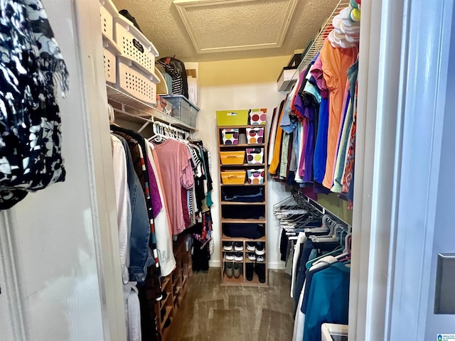 spacious closet featuring dark hardwood / wood-style floors