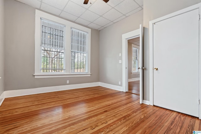 spare room featuring a paneled ceiling, ceiling fan, and light wood-type flooring