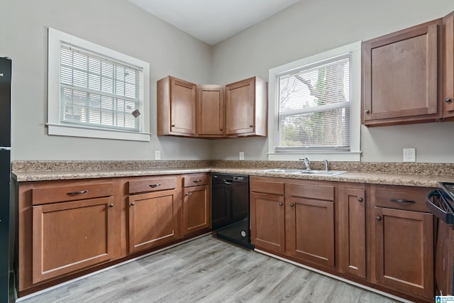 kitchen with stove, sink, light hardwood / wood-style floors, and dishwasher