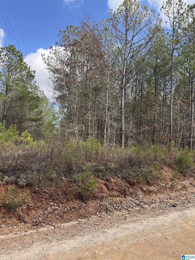 Lot7/6.5Acre County Road 823 Lot 7, Wadley AL, 36276 land for sale