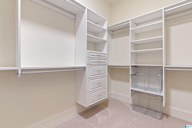 spacious closet featuring light colored carpet