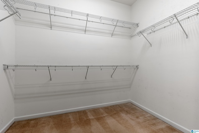 spacious closet with carpet flooring