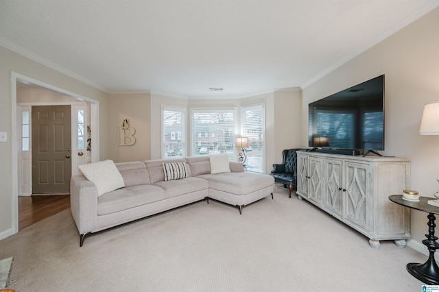 living room with ornamental molding and carpet