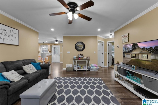 living room with crown molding, dark hardwood / wood-style floors, and ceiling fan